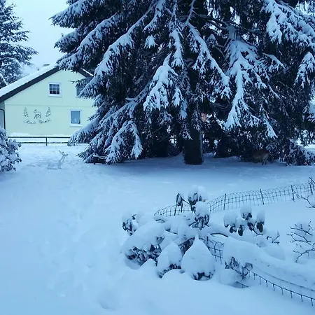 Lejlighed Haus Bambi