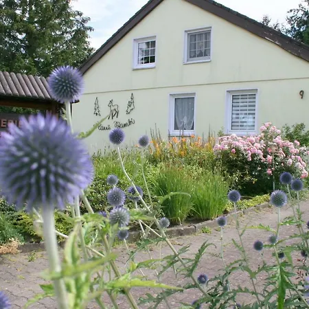 Haus Bambi Lejlighed *